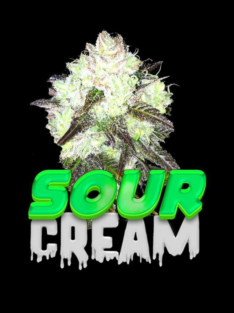 sour-cream-cannabis-seeds-south-africa-1CSSA_w6cafb
