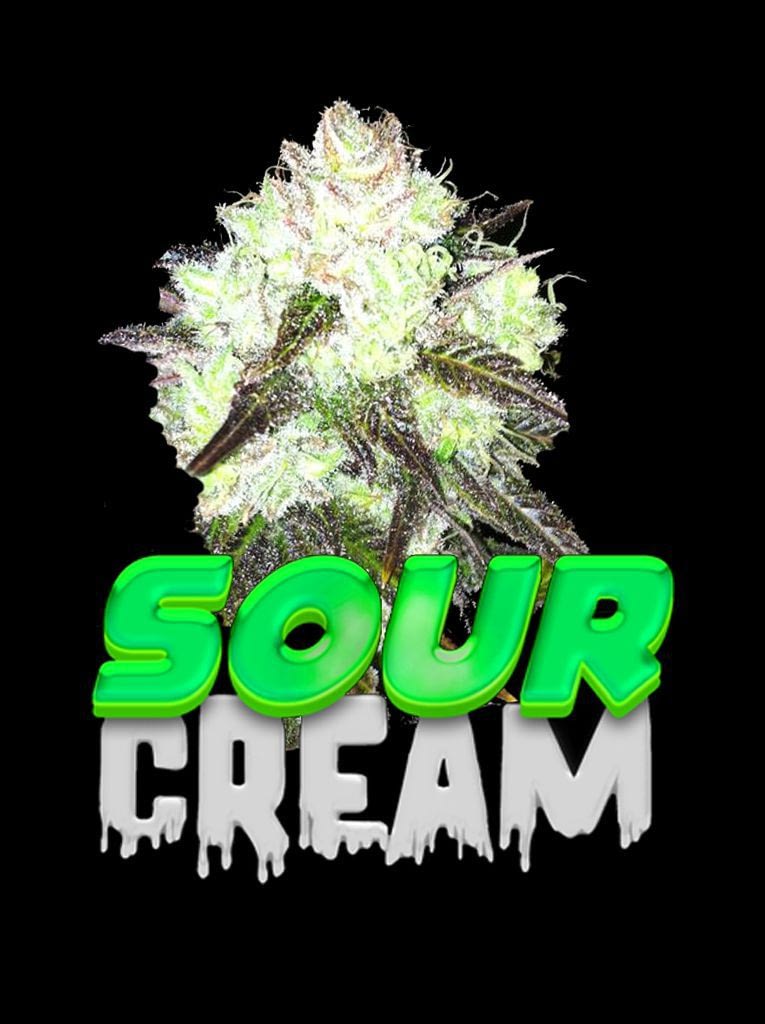 sour cream cannabis seeds south africa 1CSSA w6cafb - Cannabis Seeds SA